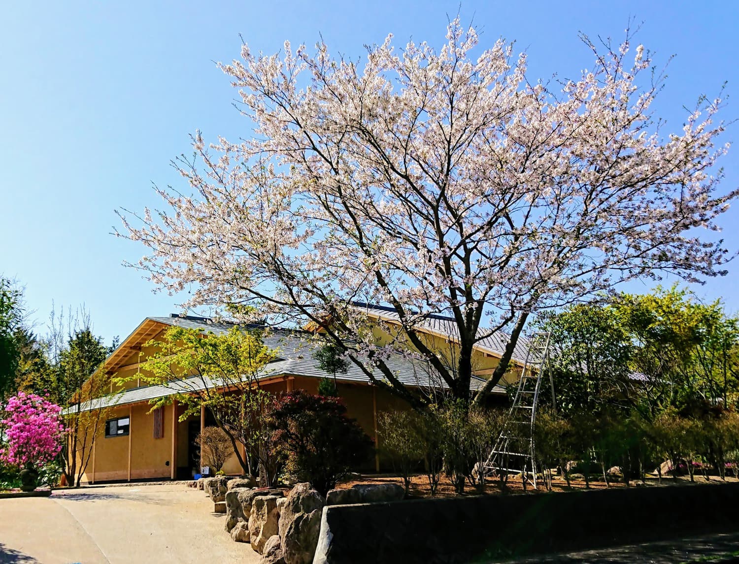 2022/3/27/更新【予約制／2日間限定8組様】「平屋の住まい相談会」　イベント予告を更新しました